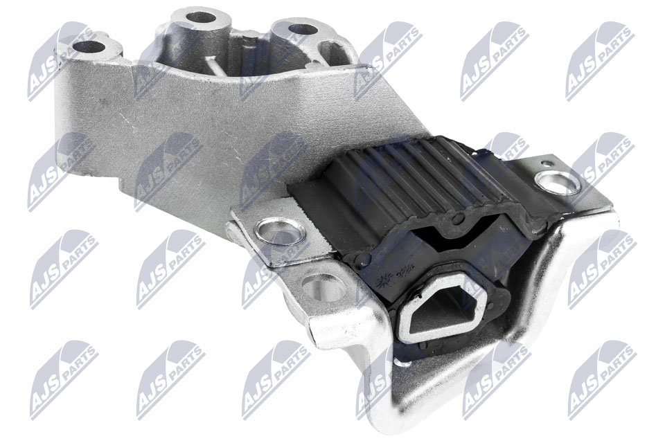 NTY ZPS-PE-001 Lagerung, Motor