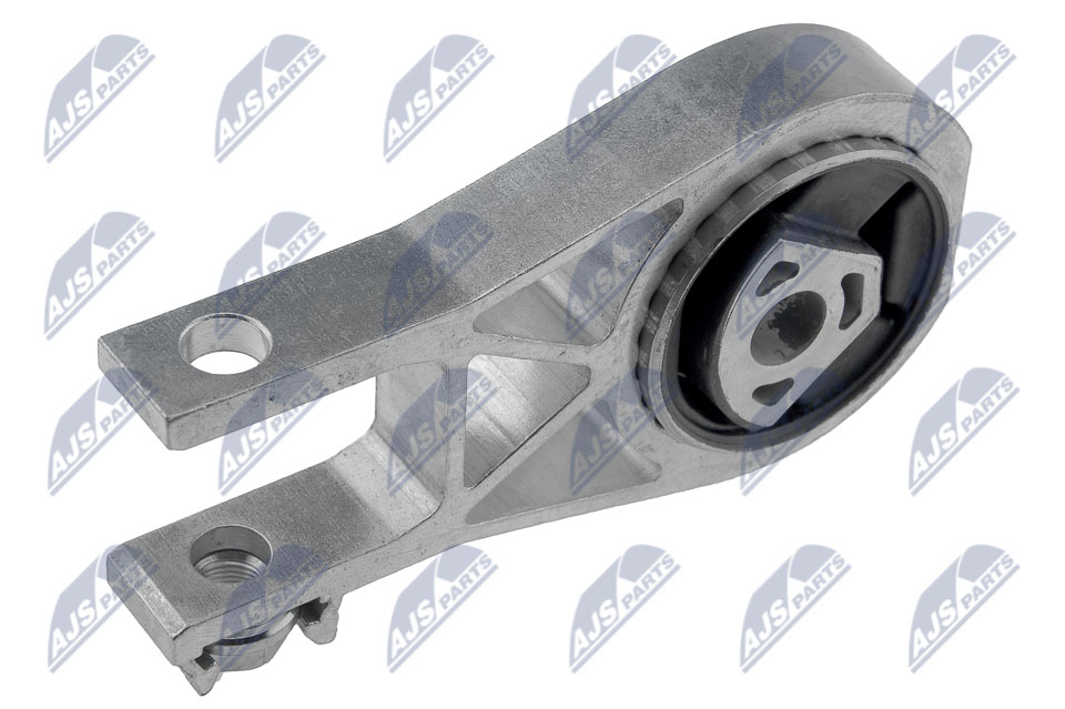NTY ZPS-PE-002 Lagerung, Motor