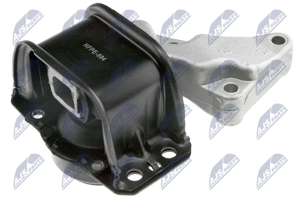 NTY ZPS-PE-004 Lagerung, Motor