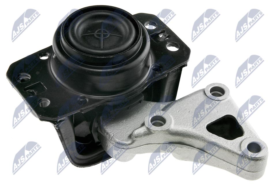 NTY ZPS-PE-004 Lagerung, Motor