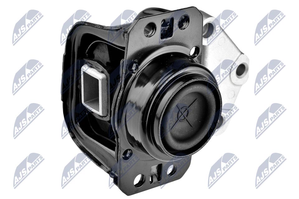 NTY ZPS-PE-008 Lagerung, Motor