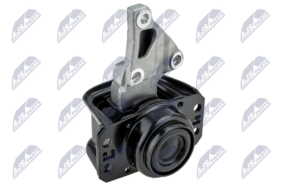 NTY ZPS-PE-012 Lagerung, Motor