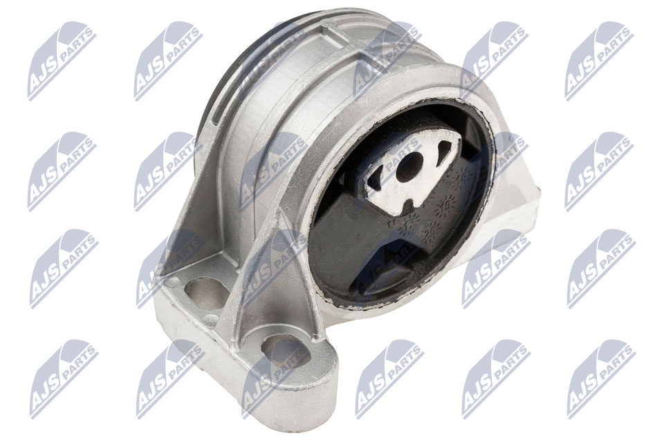 NTY ZPS-PE-017 Lagerung, Motor