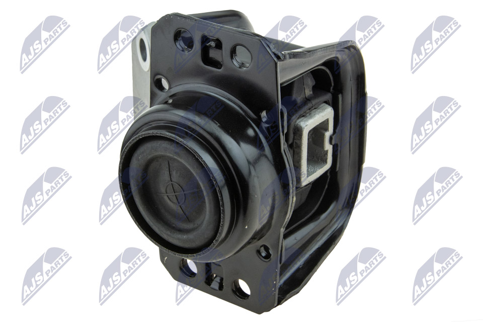 NTY ZPS-PE-019 Lagerung, Motor