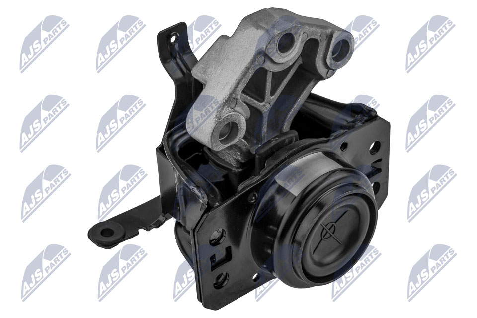 NTY ZPS-PE-027 Lagerung, Motor