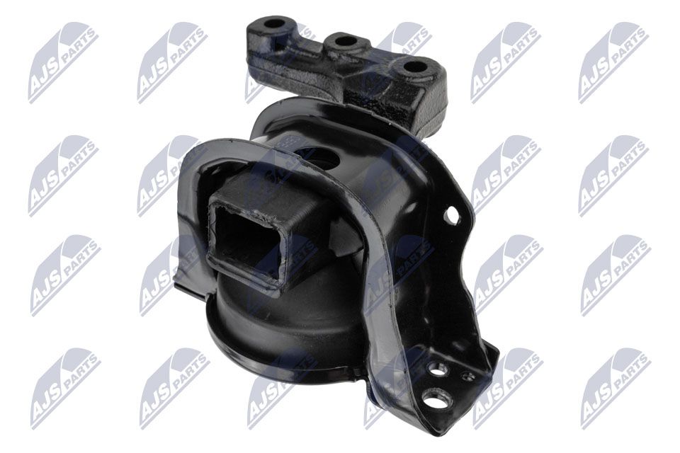 NTY ZPS-PE-028 Lagerung, Motor