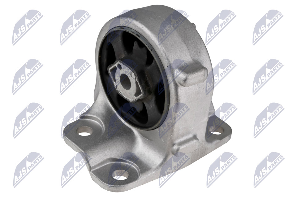 NTY ZPS-PE-029 Lagerung, Motor