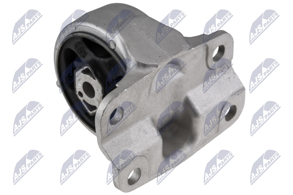 NTY ZPS-PE-029 Lagerung, Motor