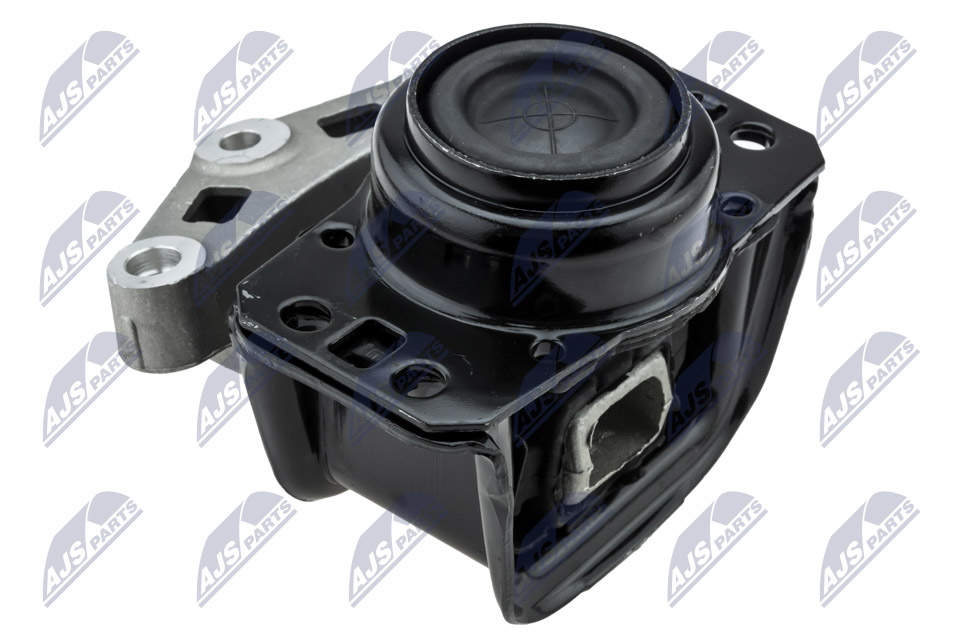 NTY ZPS-PE-037 Lagerung, Motor