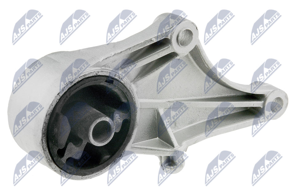 NTY ZPS-PL-013 Lagerung, Motor