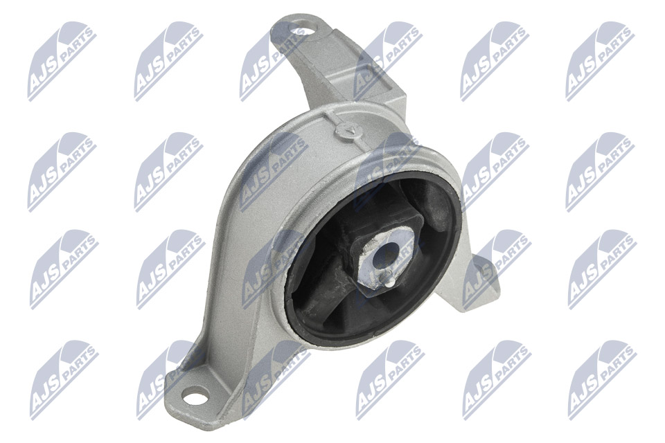 NTY ZPS-PL-016 Lagerung, Motor