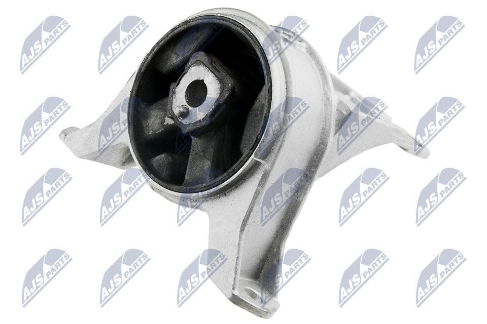 NTY ZPS-PL-028 Lagerung, Motor