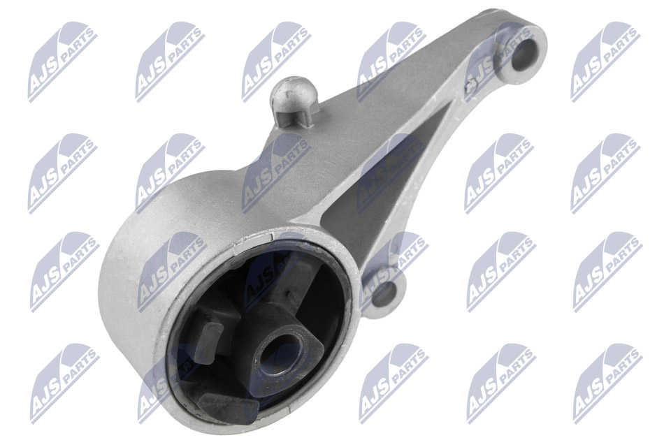 NTY ZPS-PL-030 Lagerung, Motor
