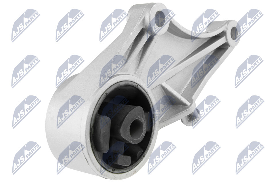 NTY ZPS-PL-030 Lagerung, Motor
