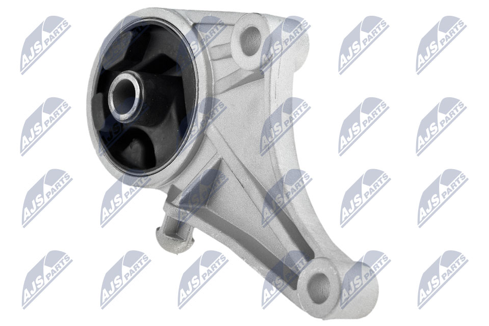 NTY ZPS-PL-032 Lagerung, Motor