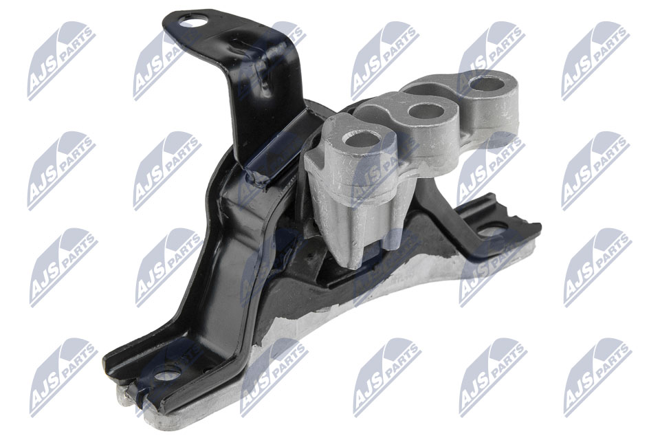 NTY ZPS-PL-043 Lagerung, Motor
