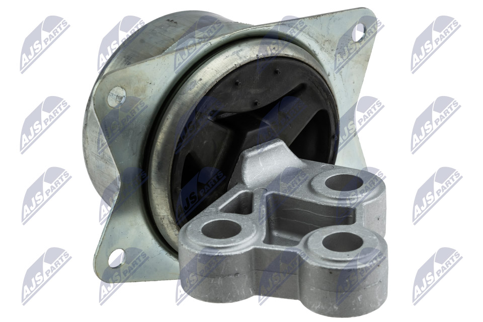 NTY ZPS-PL-045 Lagerung, Motor