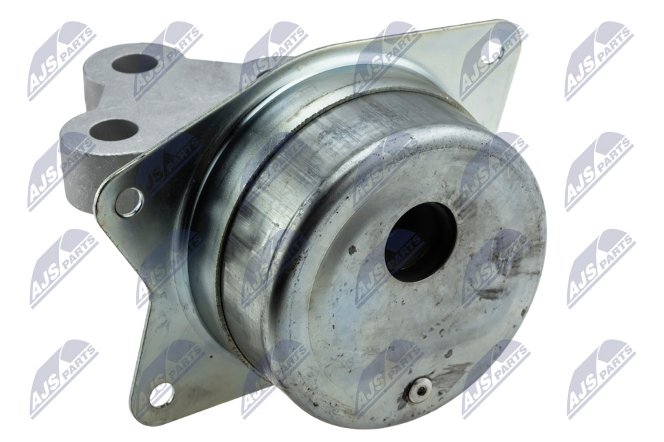 NTY ZPS-PL-045 Lagerung, Motor