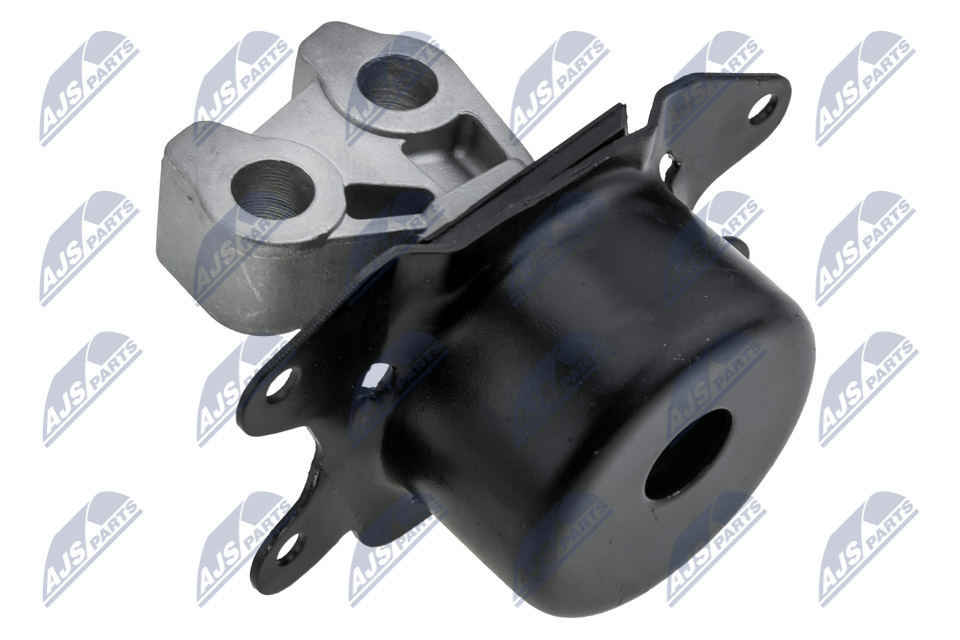 NTY ZPS-PL-053 Lagerung, Motor