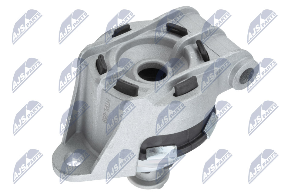 NTY ZPS-PL-059 Lagerung, Motor