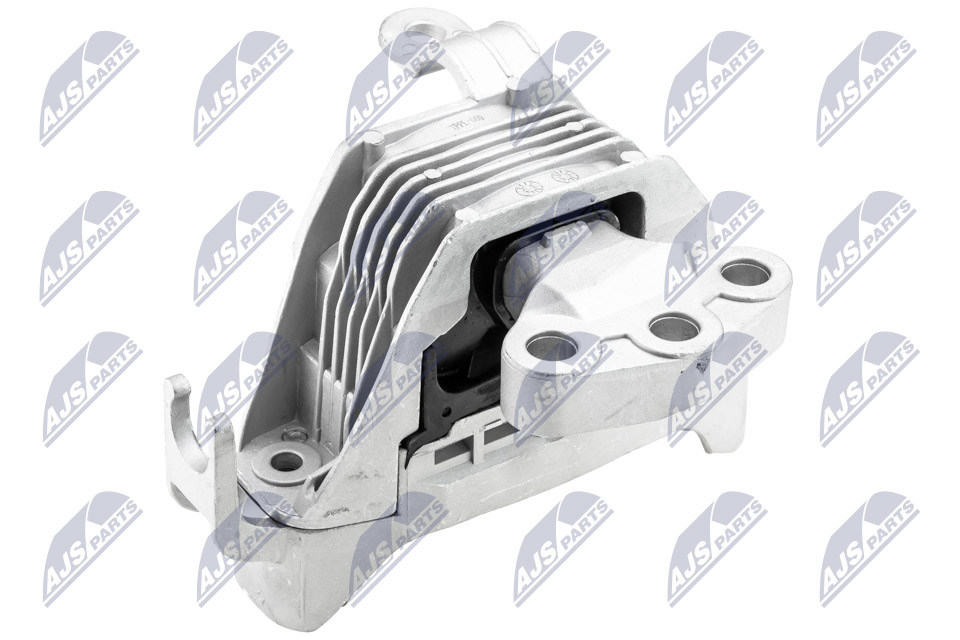 NTY ZPS-PL-060 Lagerung, Motor