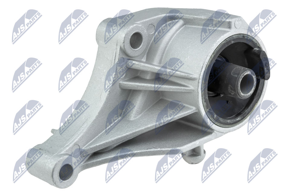 NTY ZPS-PL-070 Lagerung, Motor