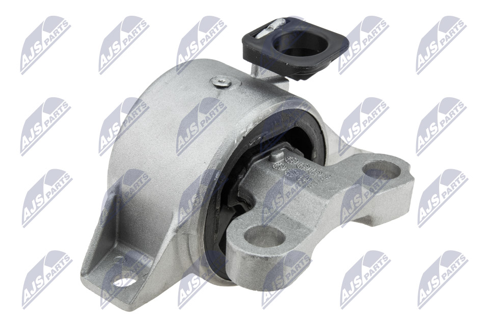 NTY ZPS-PL-072 Lagerung, Motor