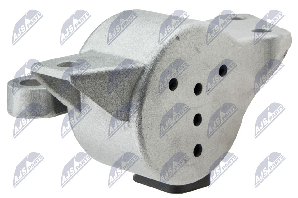 NTY ZPS-PL-072 Lagerung, Motor
