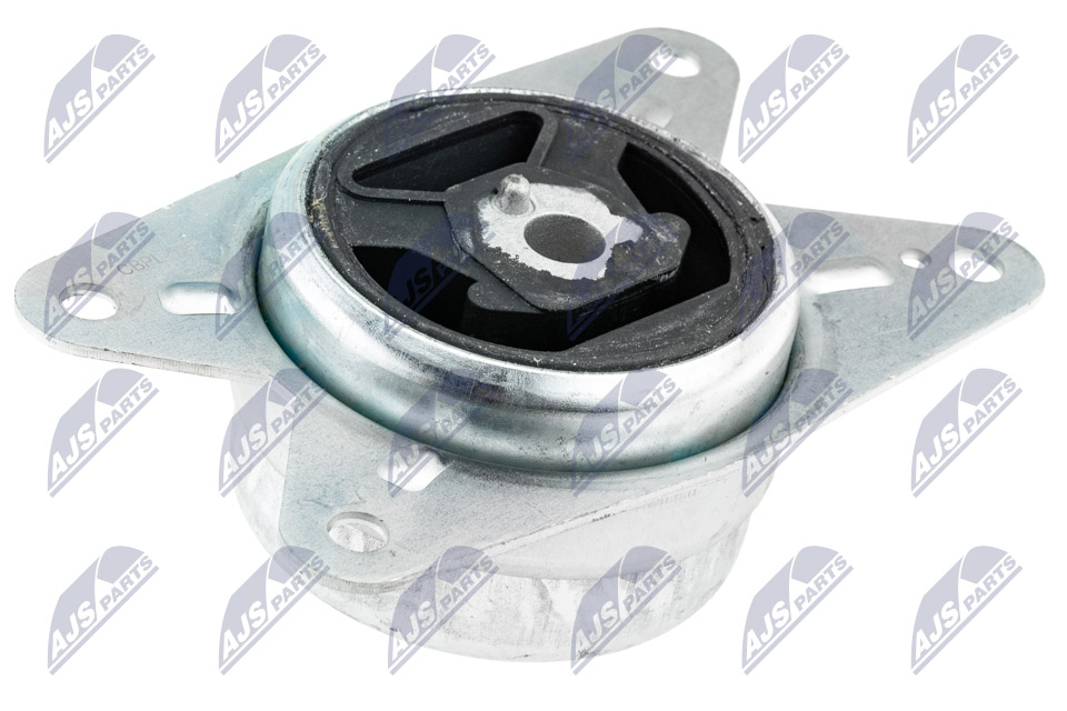 NTY ZPS-PL-075 Lagerung, Motor