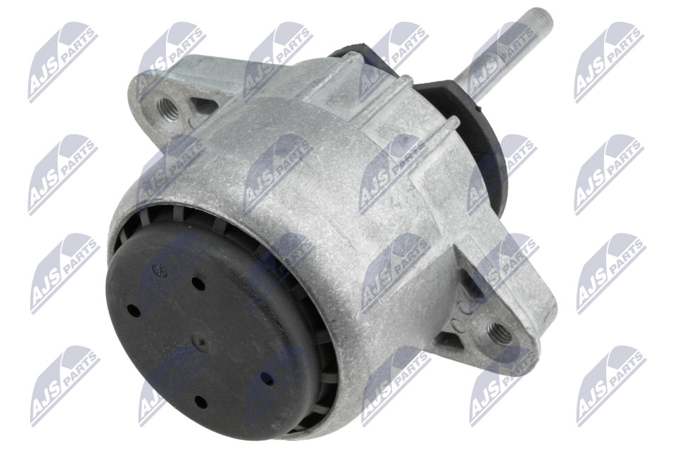 NTY ZPS-PS-002 Lagerung, Motor