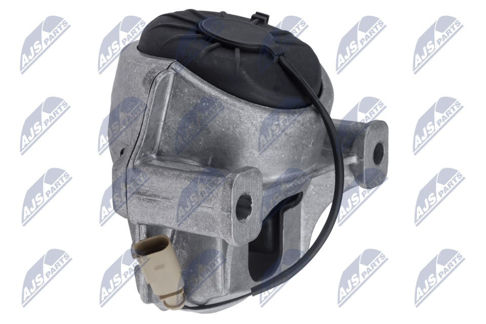 NTY ZPS-PS-005 Lagerung, Motor