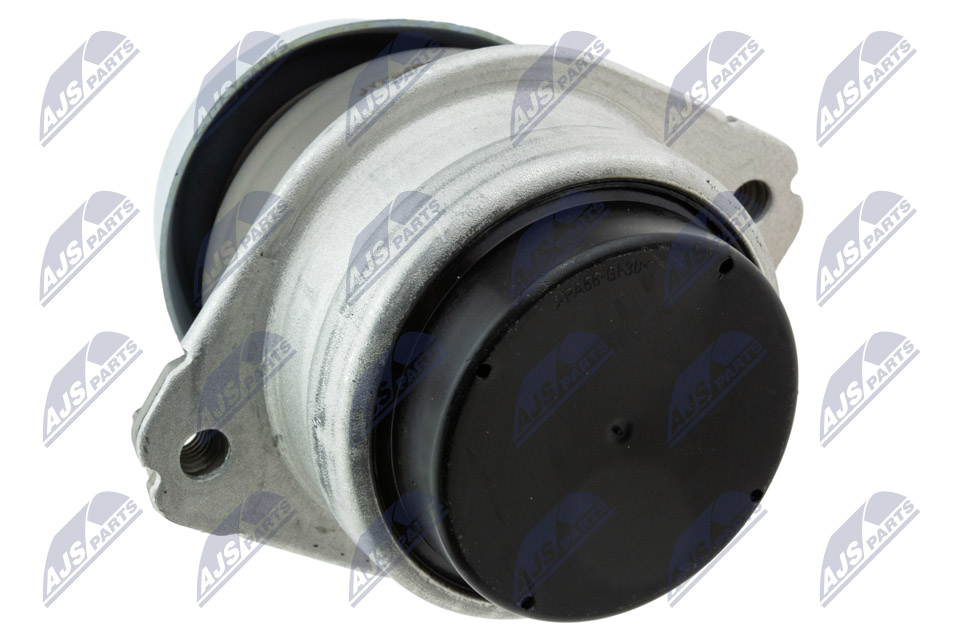 NTY ZPS-PS-008 Lagerung, Motor