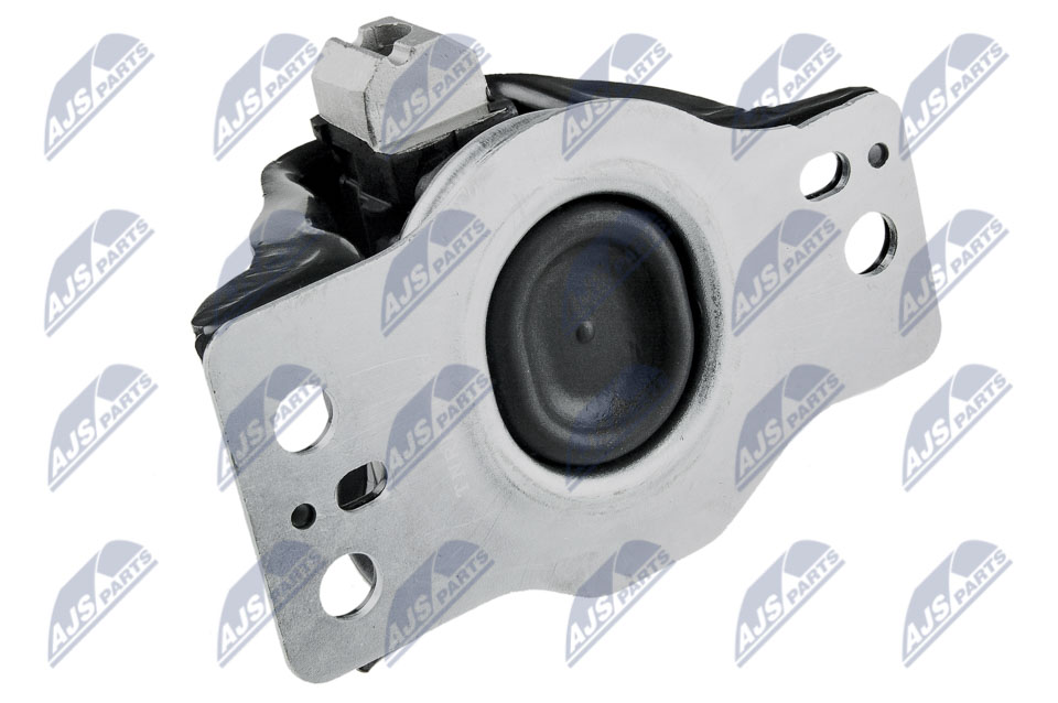 NTY ZPS-RE-036 Lagerung, Motor