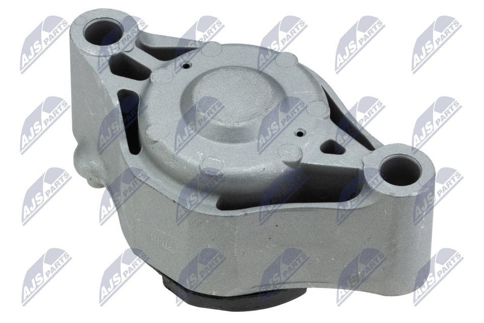 NTY ZPS-TY-115 Lagerung, Motor