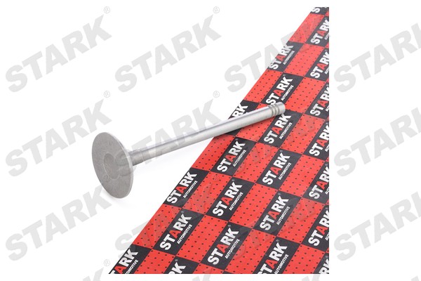 Stark SKINV-3270014 Впускной клапан