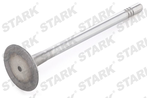 Stark SKINV-3270016 Впускной клапан