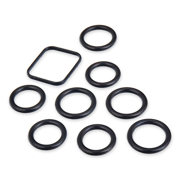 Stark SKGSI-2210035 Комплект прокладок, впускной коллектор