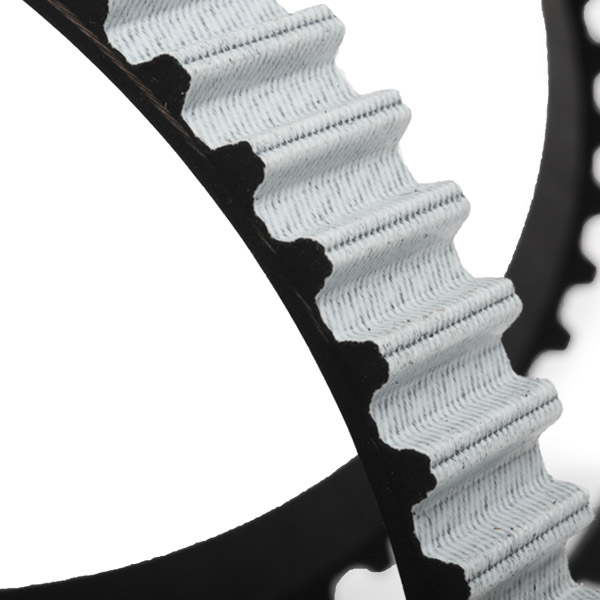 Stark SKTBK-0760416 Timing Belt Kit