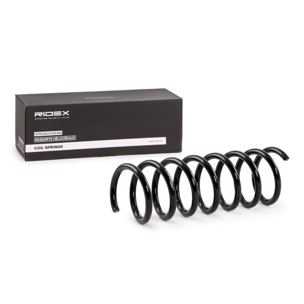 RIDEX 188C0379 Suspension...