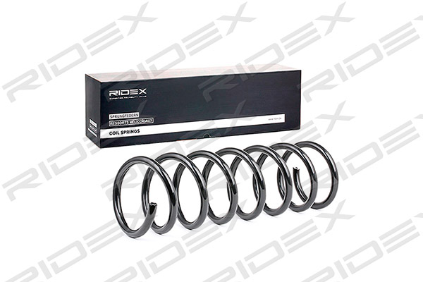 RIDEX 188C0348 Suspension...