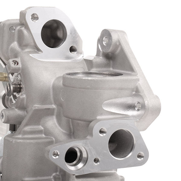 RIDEX 1145E0190 EGR Valve...