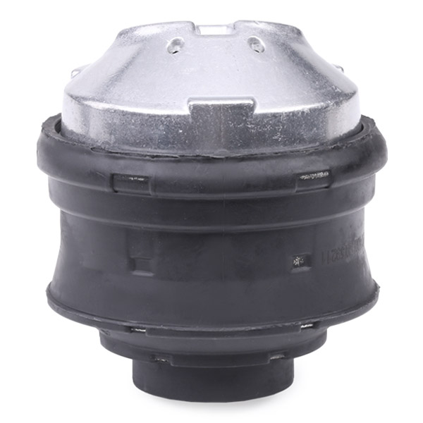 RIDEX 247E0213 Suport motor