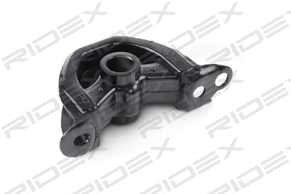 RIDEX 247E0244 Suport motor