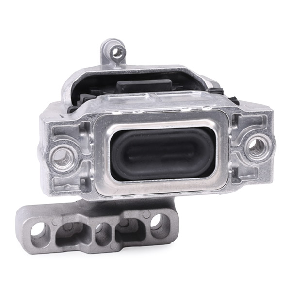 RIDEX 247E0269 Suport motor