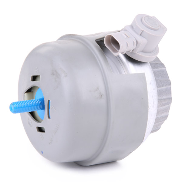 RIDEX 247E0300 Suport motor