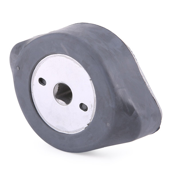 RIDEX 247E0332 Suport motor