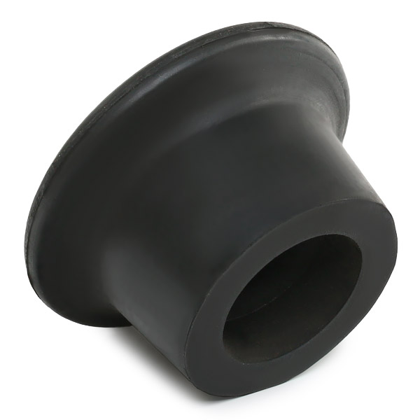 RIDEX 247E0348 Mounting, engine