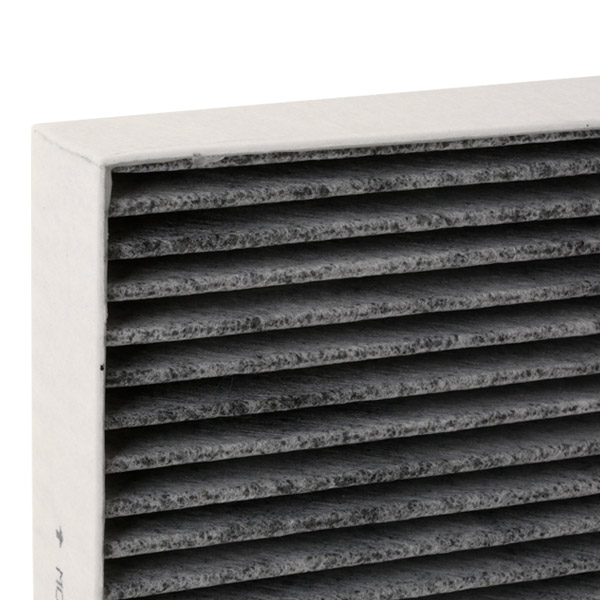 RIDEX 424I0408 Filter,...