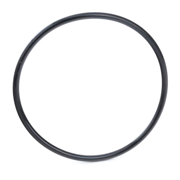 RIDEX 9F0135 Fuel Filter...