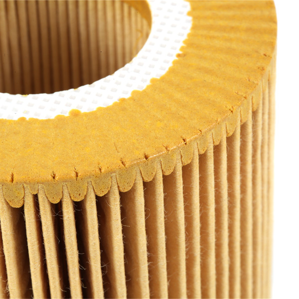 RIDEX 7O0194 Oil Filter for...